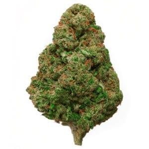 SkyWalker  CBD Flower